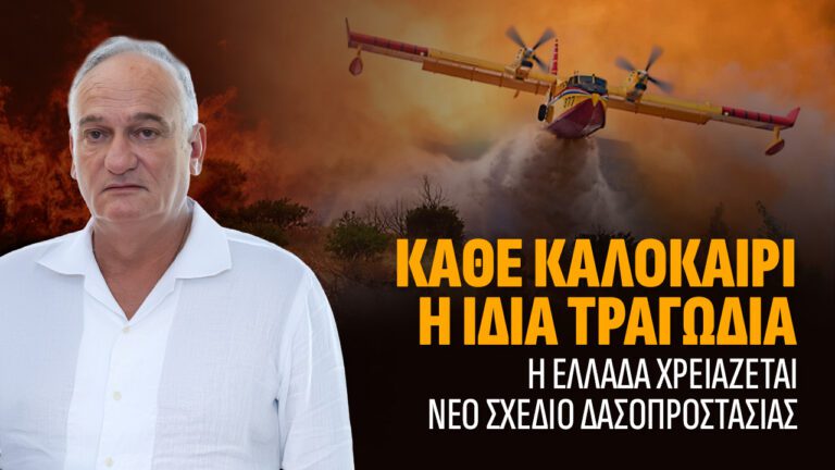 Η Ελλάδα καίγεται γιατί δεν απέκτησε ποτέ εθνική στρατηγική δασοπροστασίας.